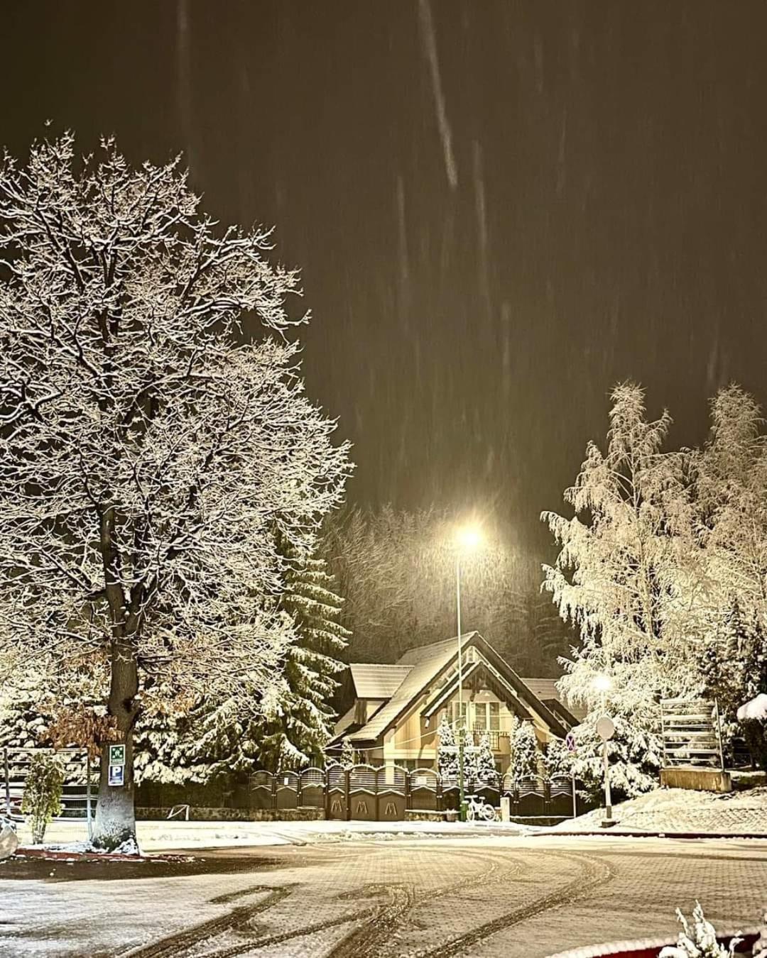 Pensiunea Colina Poiana Brasov Exterior photo