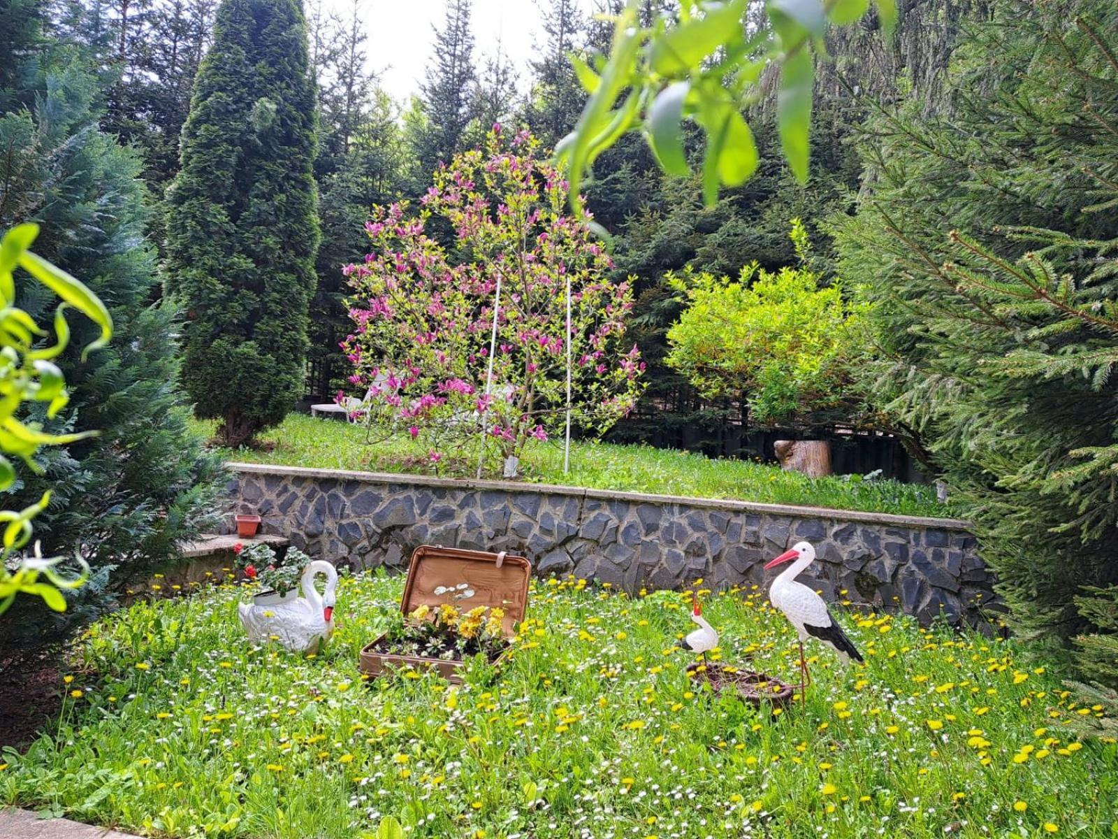 Pensiunea Colina Poiana Brasov Exterior photo