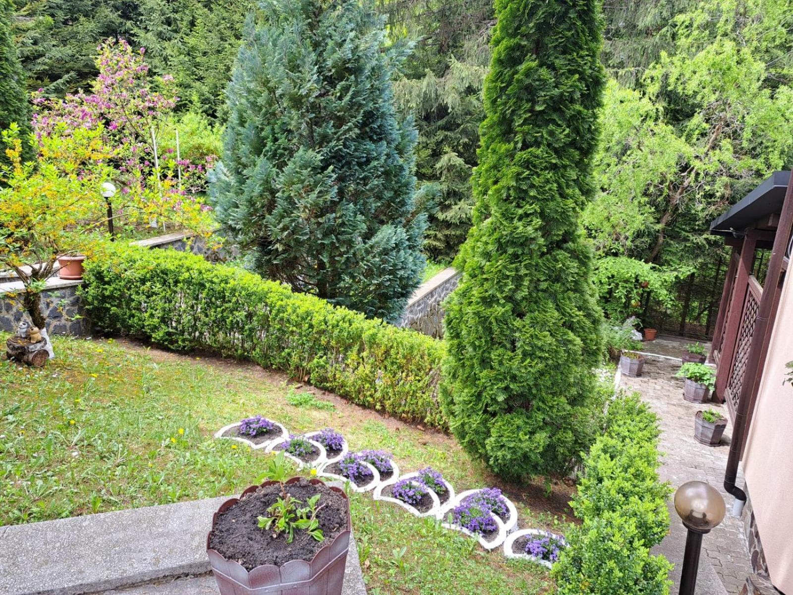 Pensiunea Colina Poiana Brasov Exterior photo